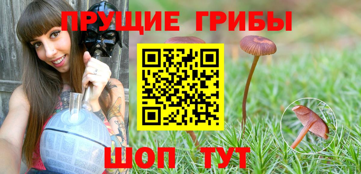 NBOMe Алапаевск