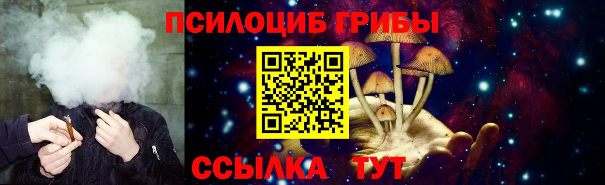 Галлюциногенные грибы GOLDEN TEACHER Алапаевск